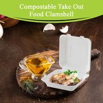 Bagasse Lunch Box Supplier - Wholesale Food Grade Biodegradable Clamshell