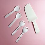 CPLA Cake Cutlery Set Factory - 100% Compostable Modern for Party Use