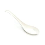 PSM Noodle Soup Spoon Manufacturer - Eco-Friendly Biodegradable Food-Grade for Parties