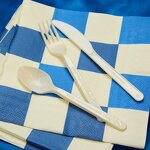 PHA Cutlery Set Factory - New Material Marine Degradation Easy Compostable