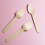 Mini Wooden Spoons Factory - Eco-Friendly Biodegradable for Ice Cream Serving