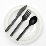 CPLA Tableware Factory - 6" High Temperature Eco-Friendly Spoon Fork Knife Kit