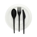 PLA Cutlery Manufacturer - Compostable 6.5 Inch High-Temperature Plant-Based