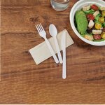 PLA Cutlery Factory - Compostable High Temperature Plant Based 7 Inch