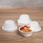 Bagasse Small Cup Factory - Customized Logo Biodegradable 4 Oz with Lid
