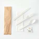 CPLA Disposable Airline Cutlery Supplier - Individual Packaging White Black
