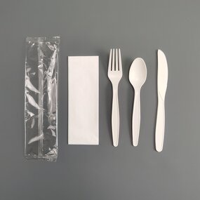 PSM Biodegradable Cutlery Set Supplier - Cornstarch Inflight Catering Compostable