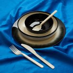 PHA Cutlery Set Supplier - Wholesale Ocean Marine Degradation Spoon Fork Knife