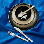 PHA Disposable Cutlery Supplier - Home Compostable Eco-friendly Marine Safe 7 Inch