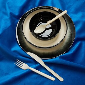 PHA Disposable Cutlery Supplier - Home Compostable Eco-friendly Marine Safe 7 Inch