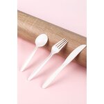 PSM Disposable Cutlery Kit Factory - Inflight 6-in-1 with Napkin Salt Pepper