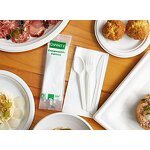 PLA Cutlery Kit Supplier - Heavy Weight Airline Spoon Fork Knife Salt Pepper