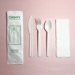 PLA Cutlery Kit Supplier - Heavy Weight Airline Spoon Fork Knife Salt Pepper