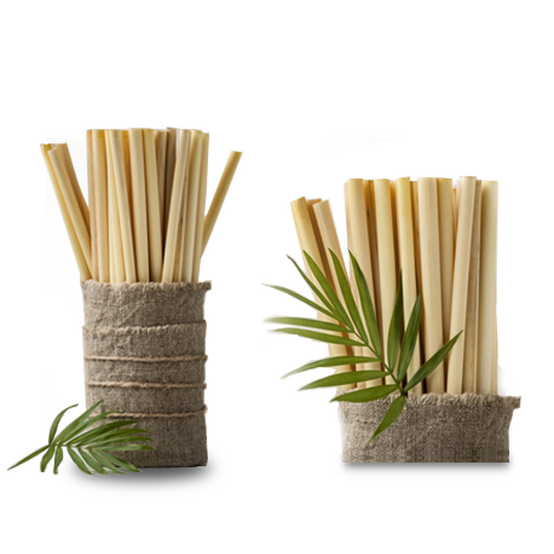 Bamboo Straw Supplier - 100% Natural Biodegradable Eco-Friendly for Parties