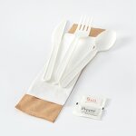 PLA Compostable Utensil Manufacturer - Accept Logo Customized Renewable Inflight