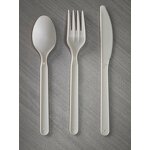 PHA Cutlery Supplier - Wholesale Biodegradable 7inch Marine Degradation Set