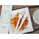 PLA Biodegradable Cutlery Factory - Bulk Airline Kit CPLA Spoons Knives Forks