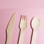 Birch Wood Cutlery Sets Manufacturer - Wholesale Custom 160MM Biodegradable OEM