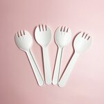 CPLA Cake Cutlery Set Factory - 100% Compostable Modern for Party Use