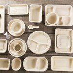 Bagasse Food Container Manufacturer - Restaurant Takeaway Clamshell Bento Lunch Box