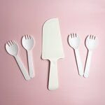 CPLA Cake Cutlery Set Factory - 100% Compostable Modern for Party Use