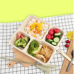 Bagasse Food Container Manufacturer - Restaurant Takeaway Clamshell Bento Lunch Box