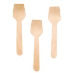 Wooden Ice Cream Spoon Manufacturer - China Factory Eco Friendly Disposable Birch