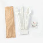 CPLA Cutlery Kits Factory - Disposable Airline Meal Spoon Fork Napkin Sets