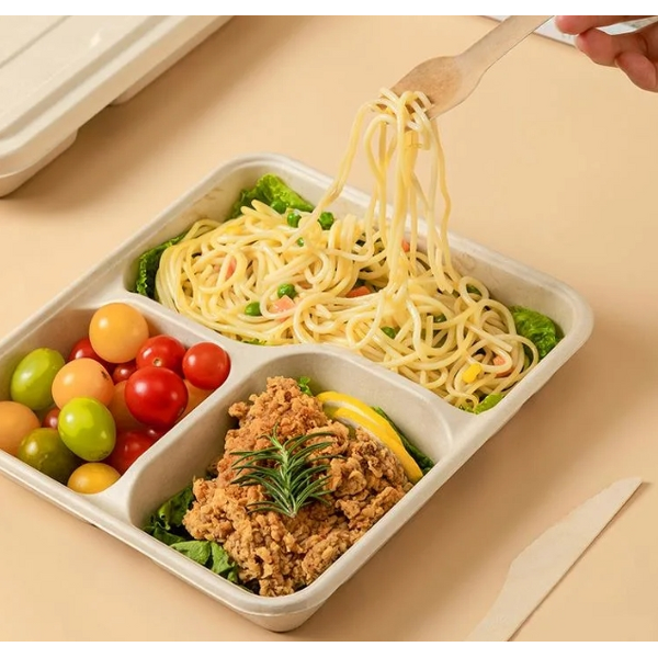 Bagasse Food Container Manufacturer - Restaurant Takeaway Clamshell Bento Lunch Box