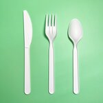 PLA Cutlery Supplier - Bulk Packaged Disposable 7" Fork Spoon Knife Boxed