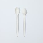 Biodegradable Plastic Ladle Spoon Supplier - Wholesale Disposable for Takeaway Camping