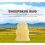 Lambskin Rug Factory - Real Sheepskin Soft Thick Fur Decorative