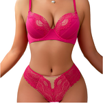 Women's Bra Set Manufacturer - OEM Custom New Sexy Lace Push-Up Hipster