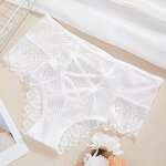 Lace Briefs Manufacturer - Wholesale High Waist Sexy Tummy Control Hip