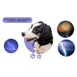 Dog Ear Muffs Manufacturer - Olyga Noise Protection 29dB NRR for Anxiety Relief
