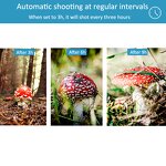 Waterproof Trail Camera Supplier - 0.3s Time Sensor IP66 Outdoor Wildlife Monitoring