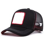 Trucker Hats Manufacturer - Wholesale Customized Logo Hat Patches for