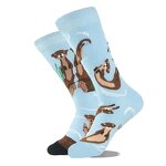Custom Cotton Sock Manufacturer - OEM Original Animal Illustrations Funny