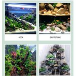 Aquarium Glue Supplier - Factory Wholesale Instant Adhesive for Aquascaping Stone Glue