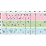 Knitting Needle Set Manufacturer - OEM Custom 2 pcs/set Bamboo Sweater Needle