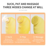 G-Spot Vibrator Manufacturer - Waterproof Nipple Sucking Toy