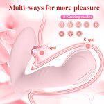 Panty Vibrator Manufacturer - Remote Control Clitoris Stimulator
