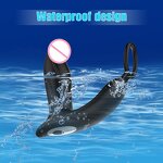 Anal Plug Factory - 10-Frequency Prostate Vibrator OEM