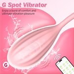 Love Egg Vibrator Factory - 9 Frequency Wearable Panty