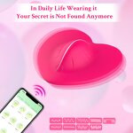 Panty Vibrator Factory - APP Remote Control Wearable