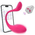 Kegel Ball Vibrator Manufacturer - Wearable 9 Speeds APP