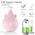 Rose Vibrator Manufacturer - G-Spot Nipple Stimulation OEM