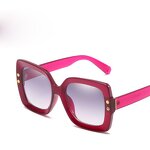Sunglasses Manufacturer - OEM Custom Women Retro Rivet Transparent Big