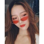 Sunglasses Manufacturer - OEM Custom Fashion Cat Eye Small Metal Frame