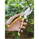 Pruning Shears Factory - Professional Sharp Bypass Beak Scissors